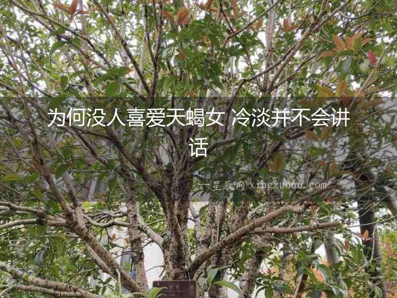 為何沒人喜愛天蝎女 冷淡并不會講話