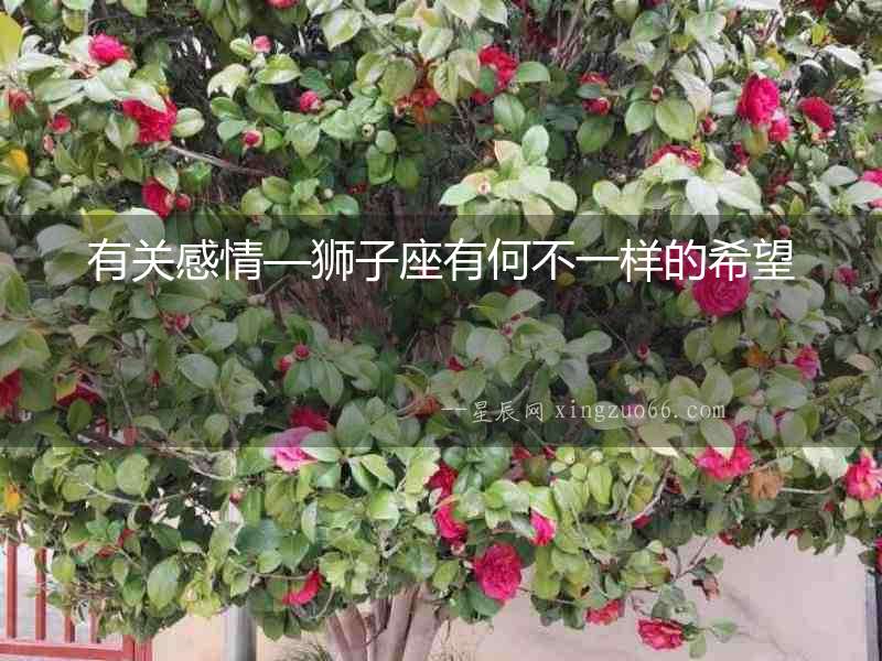 有關感情—獅子座有何不一樣的希望