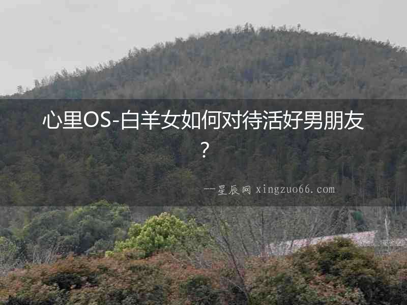 心里OS-白羊女如何對待活好男朋友？