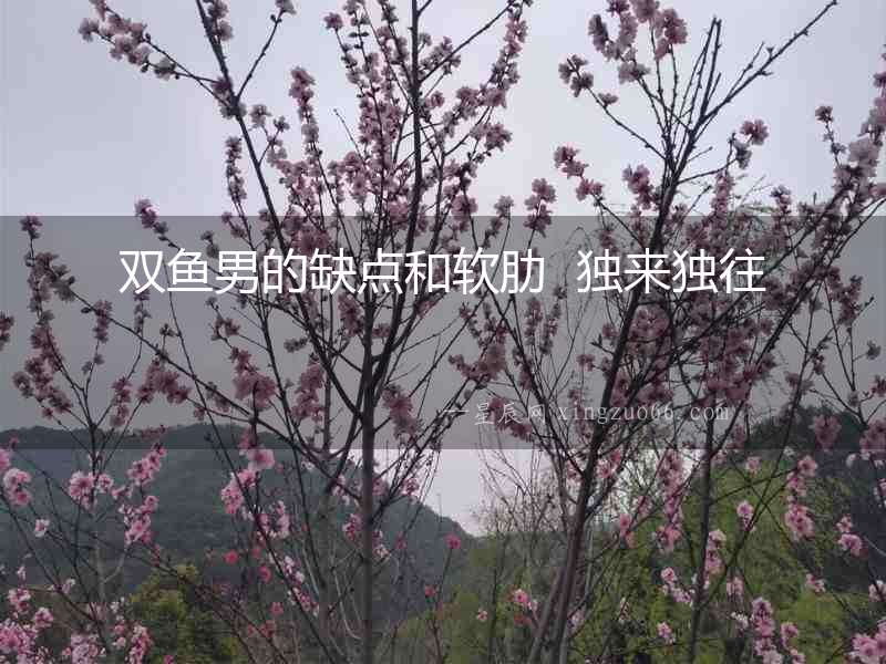 雙魚男的缺點(diǎn)和軟肋  獨(dú)來獨(dú)往
