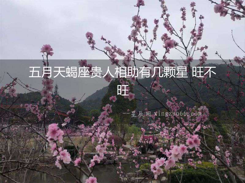 五月天蝎座貴人相助有幾顆星 旺不旺