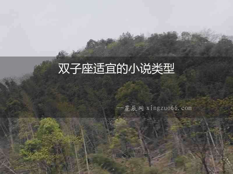 雙子座適宜的小說類型