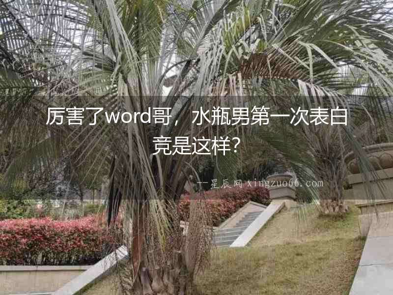 厲害了word哥，水瓶男第一次表白競是這樣？