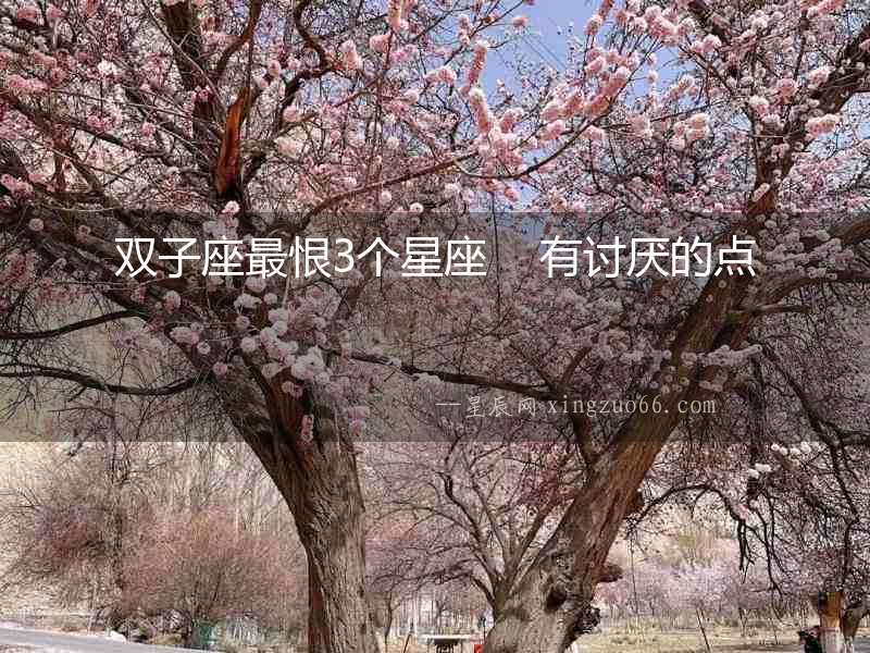 雙子座最恨3個星座    有討厭的點