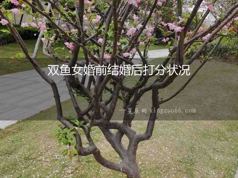 雙魚女婚前結(jié)婚后打分狀況