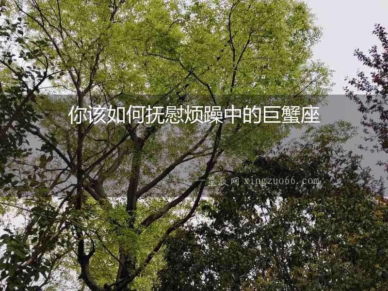 你該如何撫慰煩躁中的巨蟹座