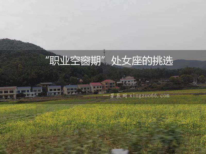 “職業空窗期”處女座的挑選