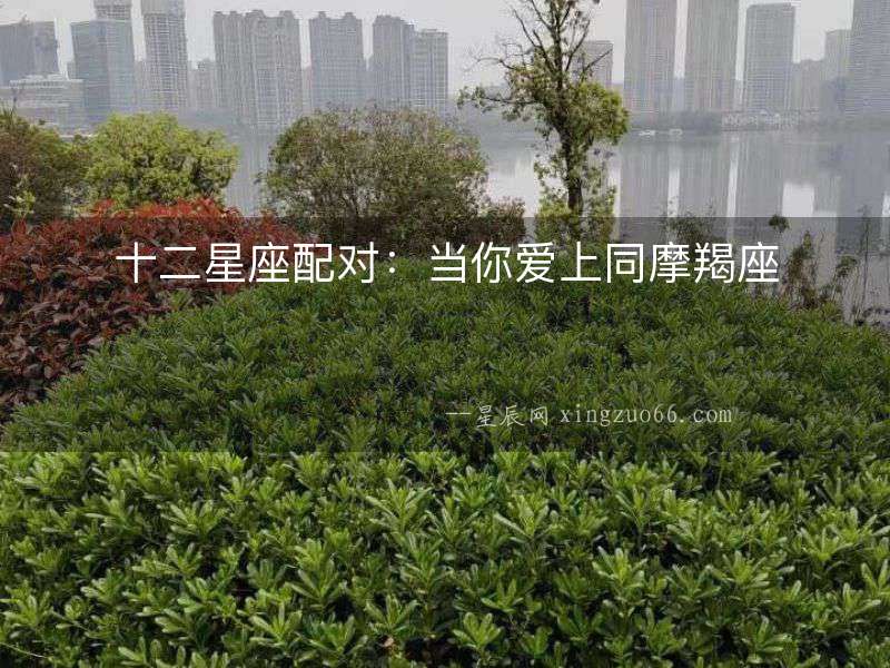十二星座配對(duì)：當(dāng)你愛上同摩羯座