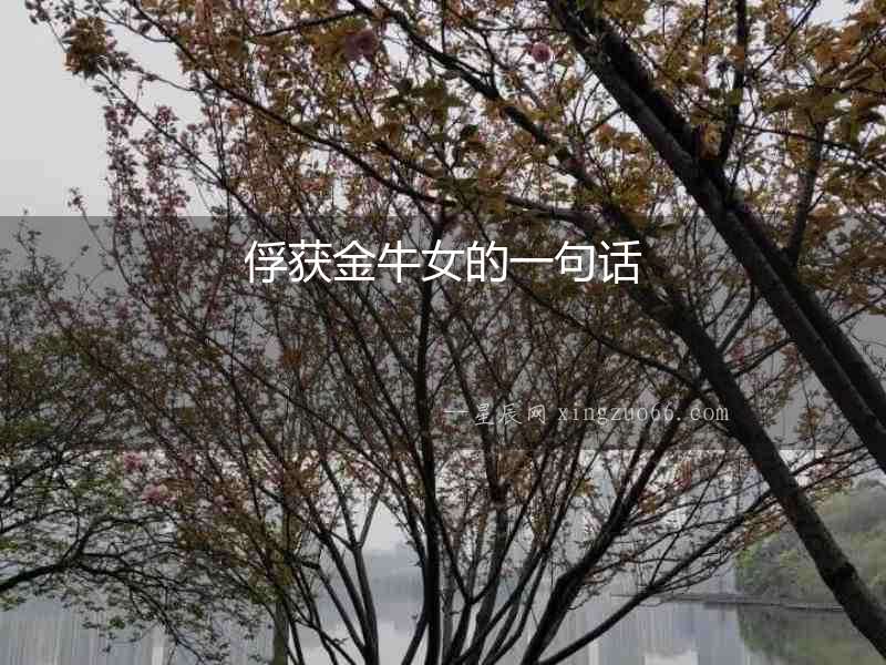 俘獲金牛女的一句話