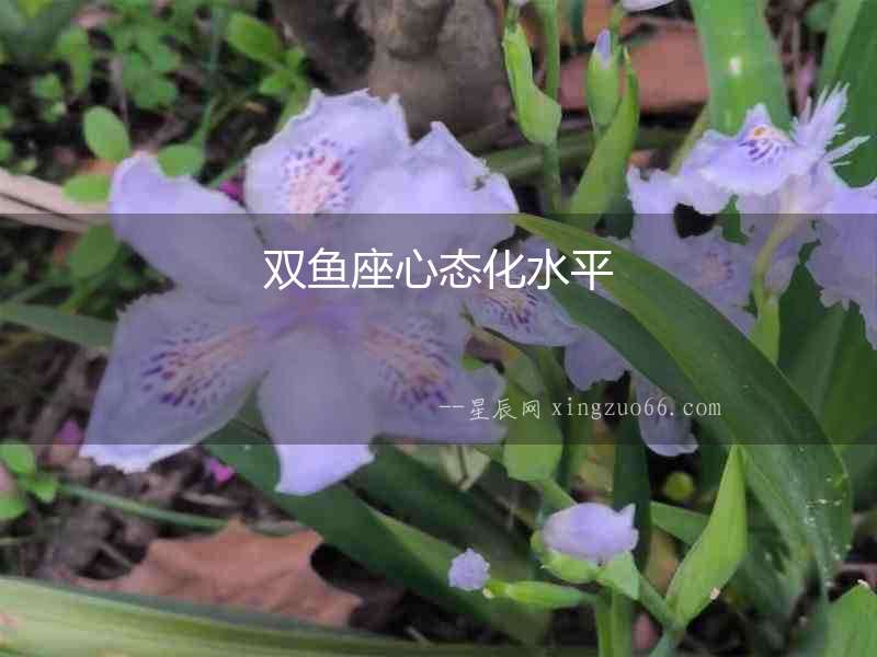 雙魚座心態化水平