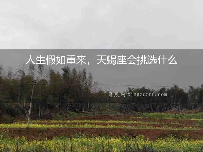人生假如重來，天蝎座會挑選什么