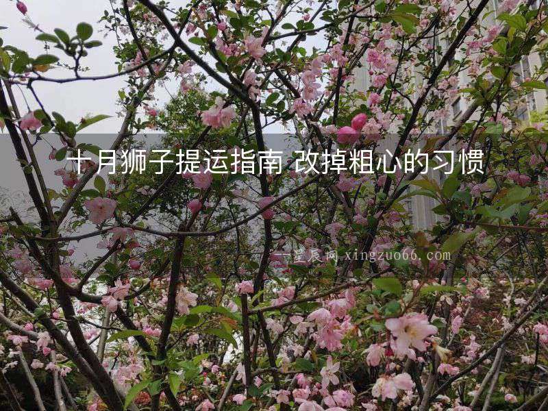 十月獅子提運(yùn)指南 改掉粗心的習(xí)慣