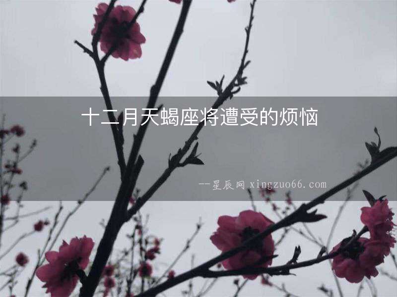 十二月天蝎座將遭受的煩惱
