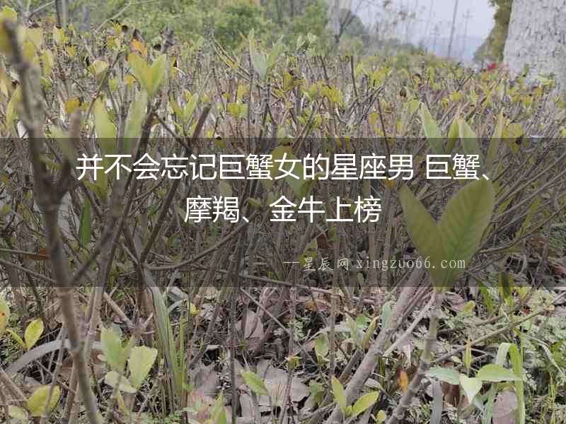并不會忘記巨蟹女的星座男 巨蟹、摩羯、金牛上榜