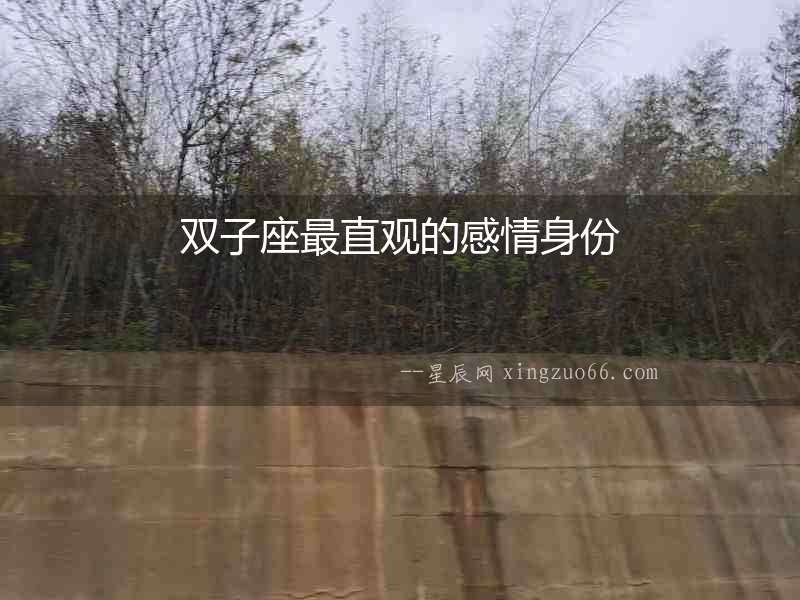 雙子座最直觀的感情身份