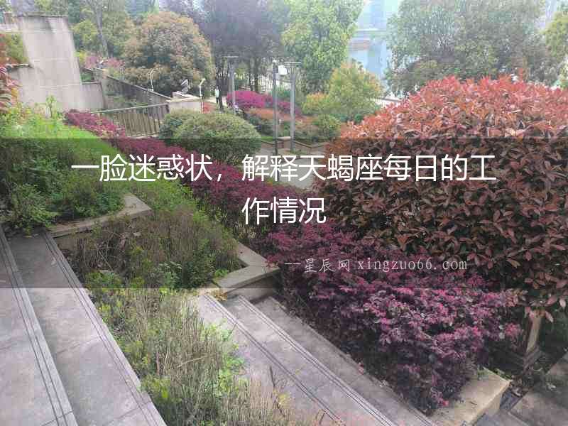 一臉迷惑狀，解釋天蝎座每日的工作情況