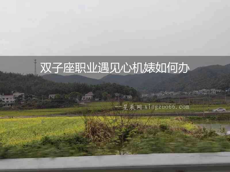 雙子座職業遇見心機婊如何辦