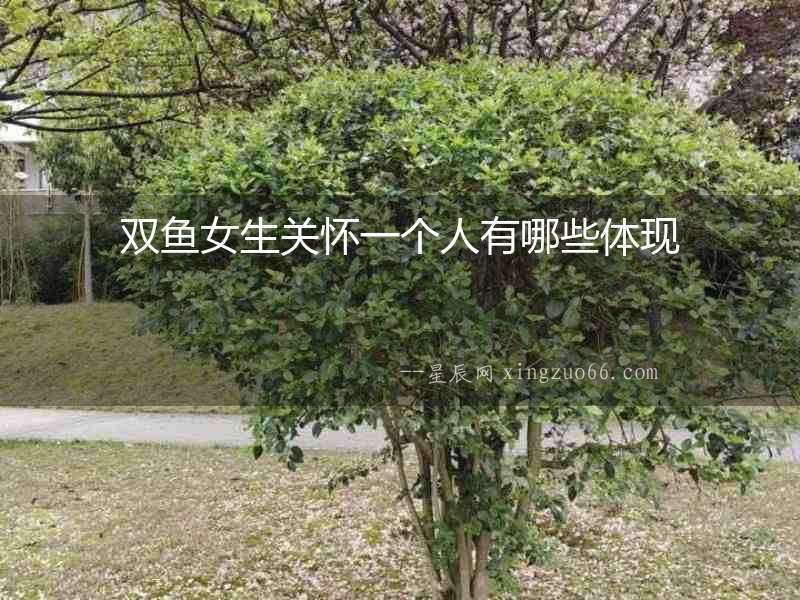 雙魚女生關懷一個人有哪些體現