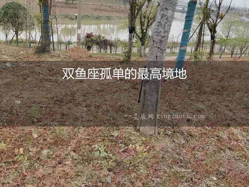 雙魚座孤單的最高境地