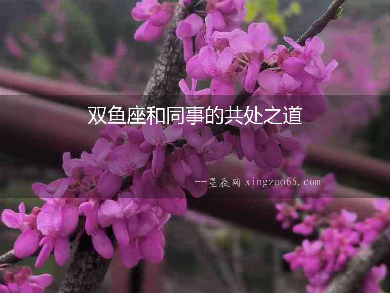 雙魚座和同事的共處之道