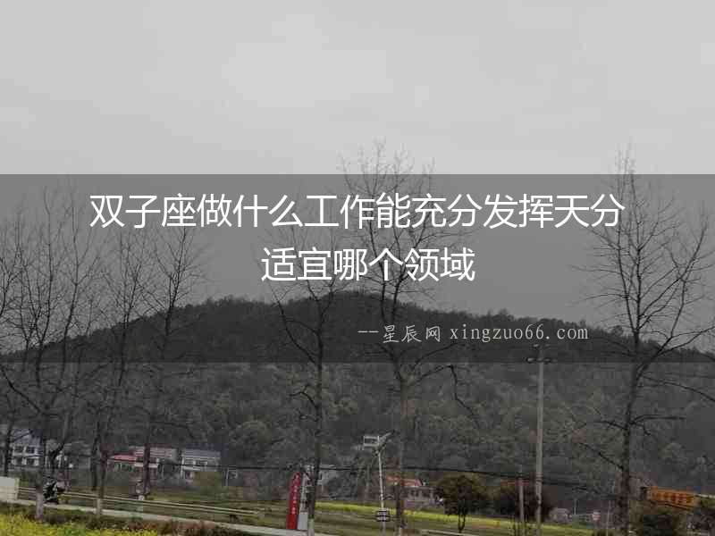 雙子座做什么工作能充分發(fā)揮天分  適宜哪個領(lǐng)域