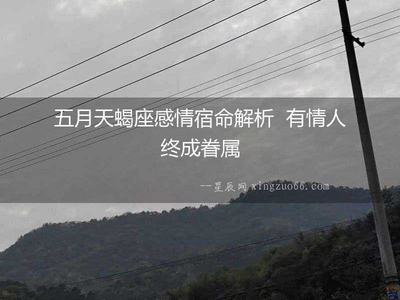五月天蝎座感情宿命解析  有情人終成眷屬