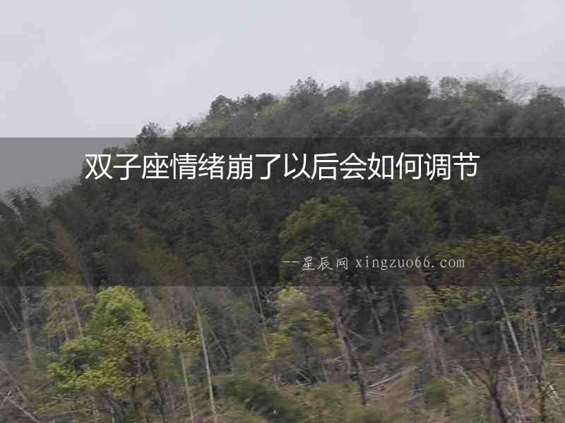 雙子座情緒崩了以后會如何調節