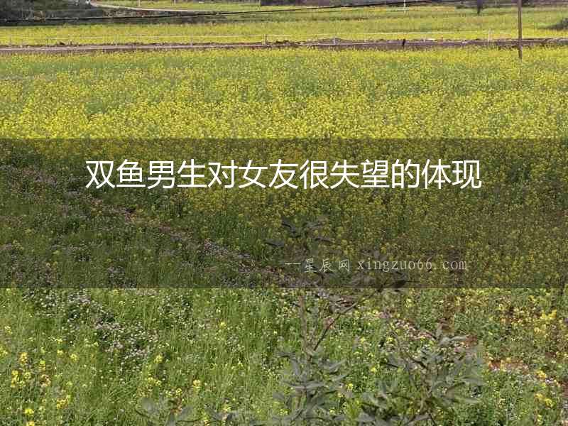 雙魚男生對女友很失望的體現