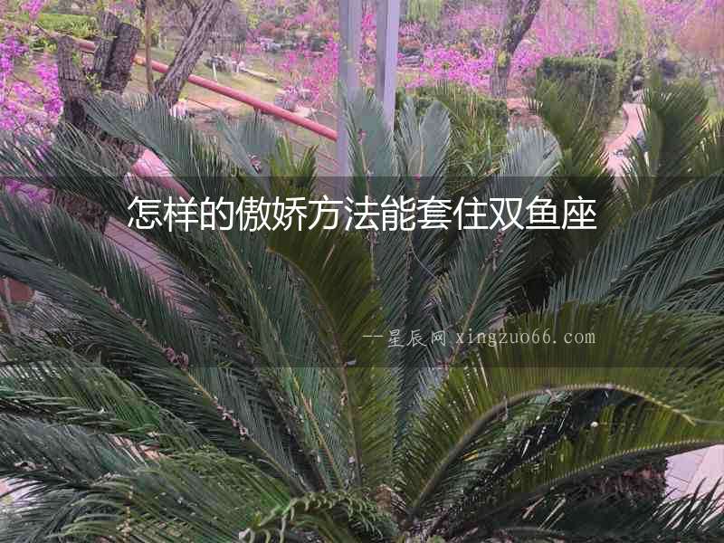 怎樣的傲嬌方法能套住雙魚座