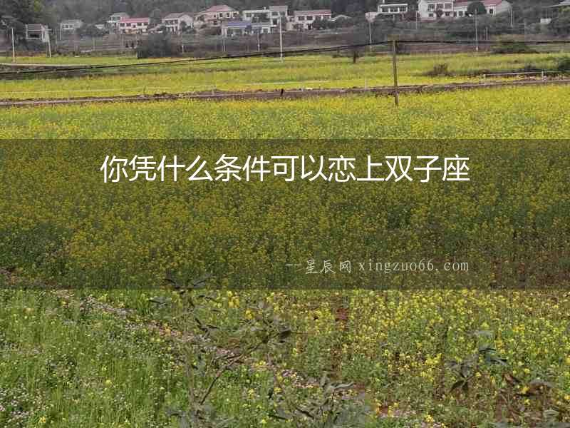 你憑什么條件可以戀上雙子座
