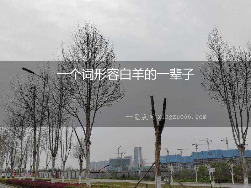 一個詞形容白羊的一輩子