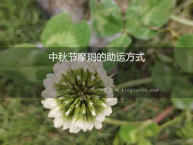 中秋節(jié)摩羯的助運(yùn)方式
