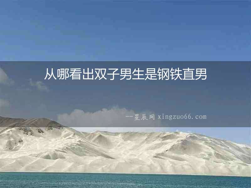 從哪看出雙子男生是鋼鐵直男