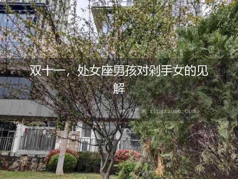雙十一，處女座男孩對剁手女的見解