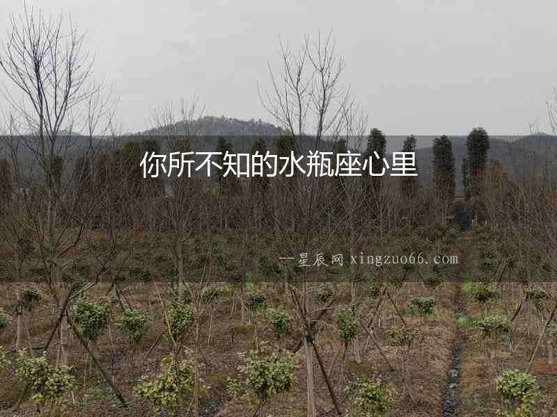 你所不知的水瓶座心里