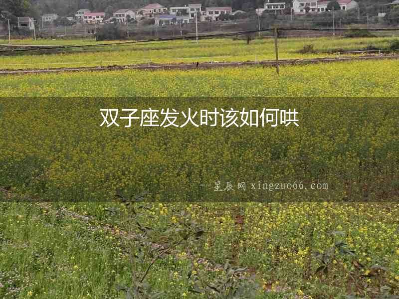 雙子座發火時該如何哄