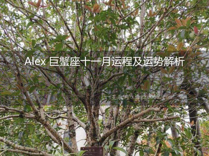 Alex 巨蟹座十一月運(yùn)程及運(yùn)勢解析