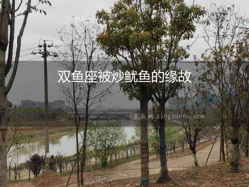 雙魚座被炒魷魚的緣故