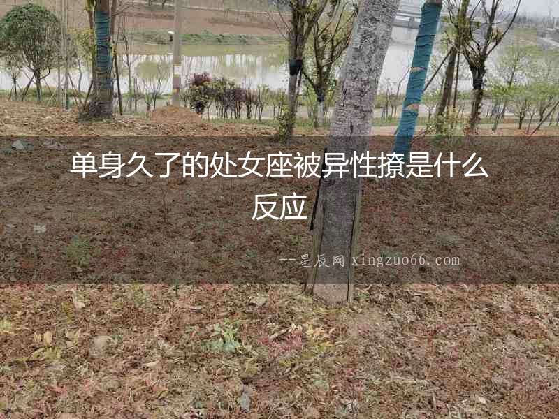 單身久了的處女座被異性撩是什么反應