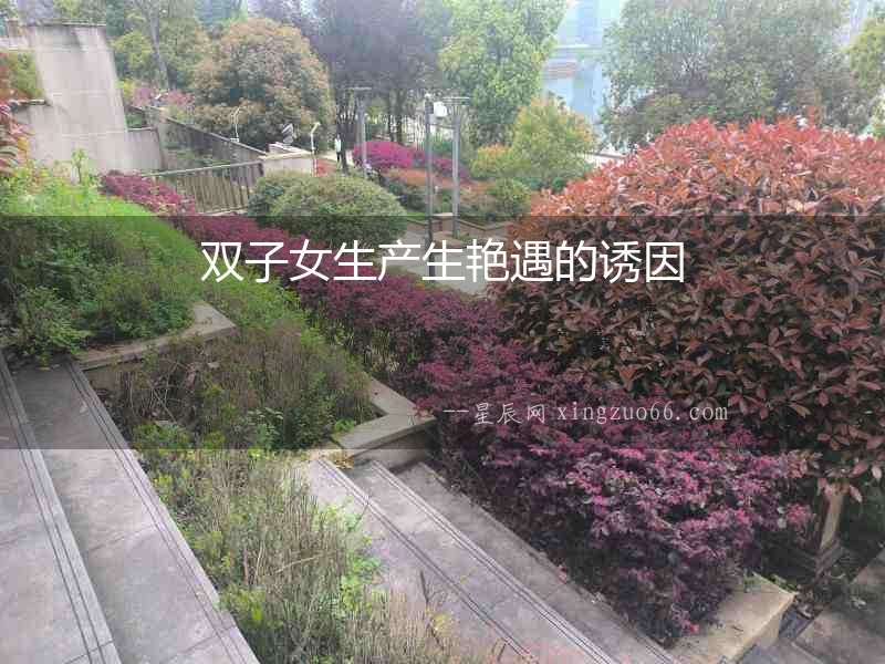 雙子女生產(chǎn)生艷遇的誘因