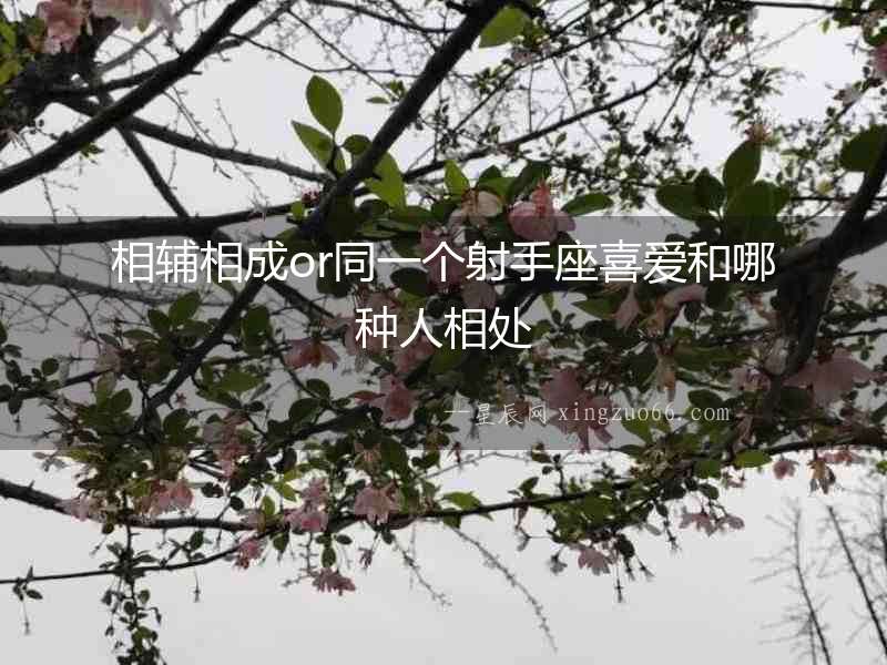 相輔相成or同一個射手座喜愛和哪種人相處