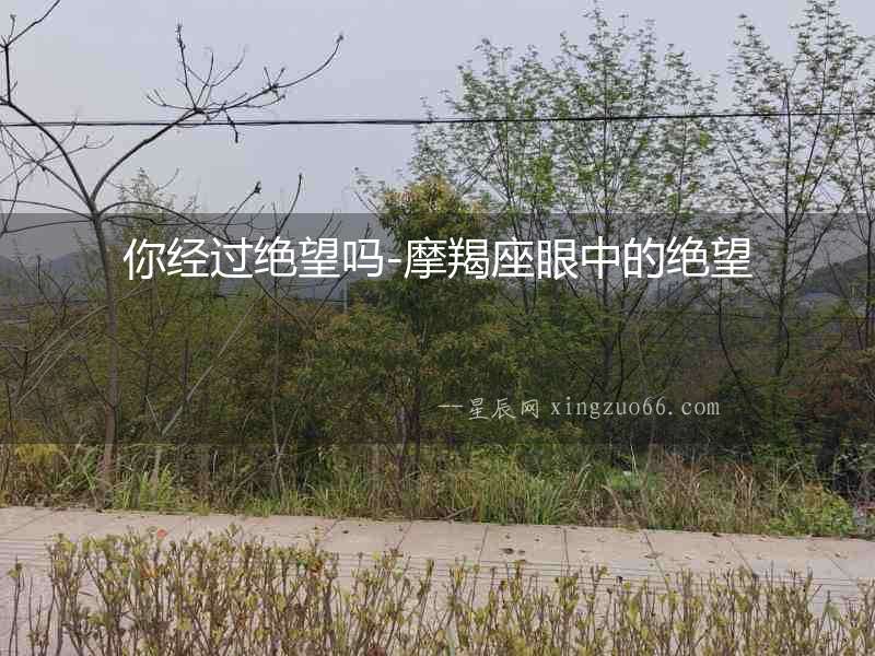 你經過絕望嗎-摩羯座眼中的絕望