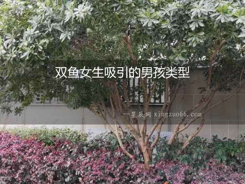 雙魚女生吸引的男孩類型