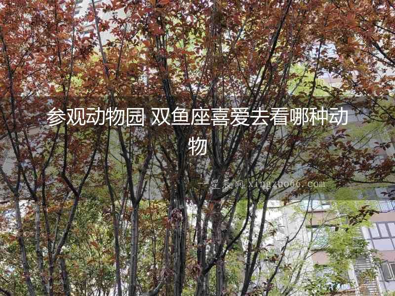 參觀動物園 雙魚座喜愛去看哪種動物