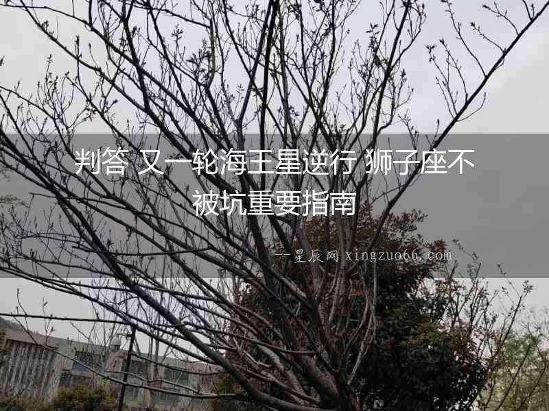 判答 又一輪海王星逆行 獅子座不被坑重要指南