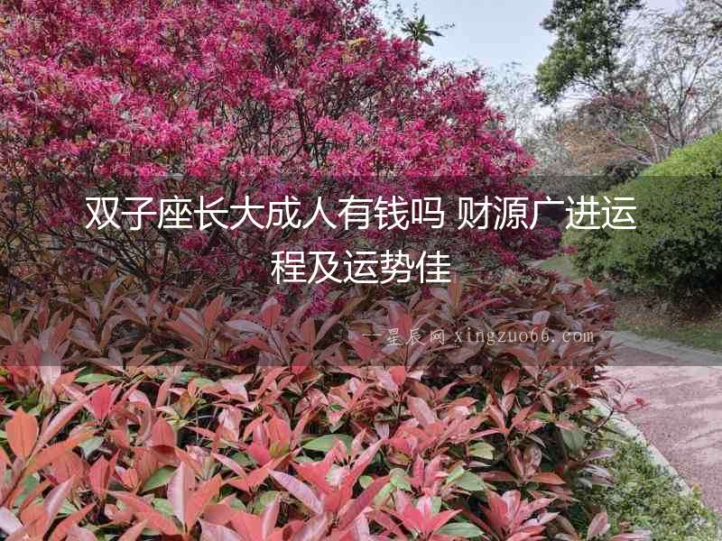 雙子座長(zhǎng)大成人有錢嗎 財(cái)源廣進(jìn)運(yùn)程及運(yùn)勢(shì)佳
