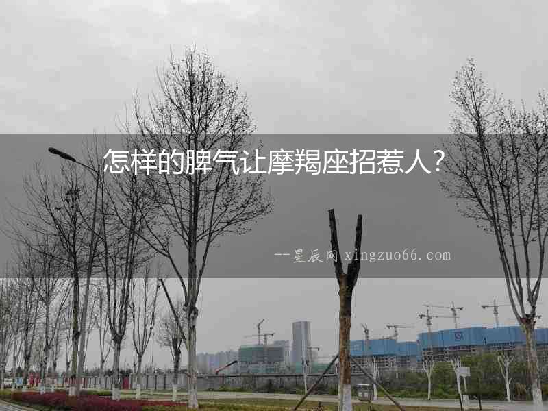 怎樣的脾氣讓摩羯座招惹人？