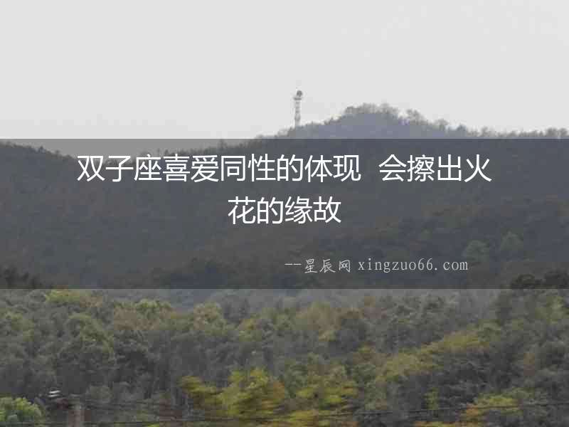 雙子座喜愛同性的體現  會擦出火花的緣故
