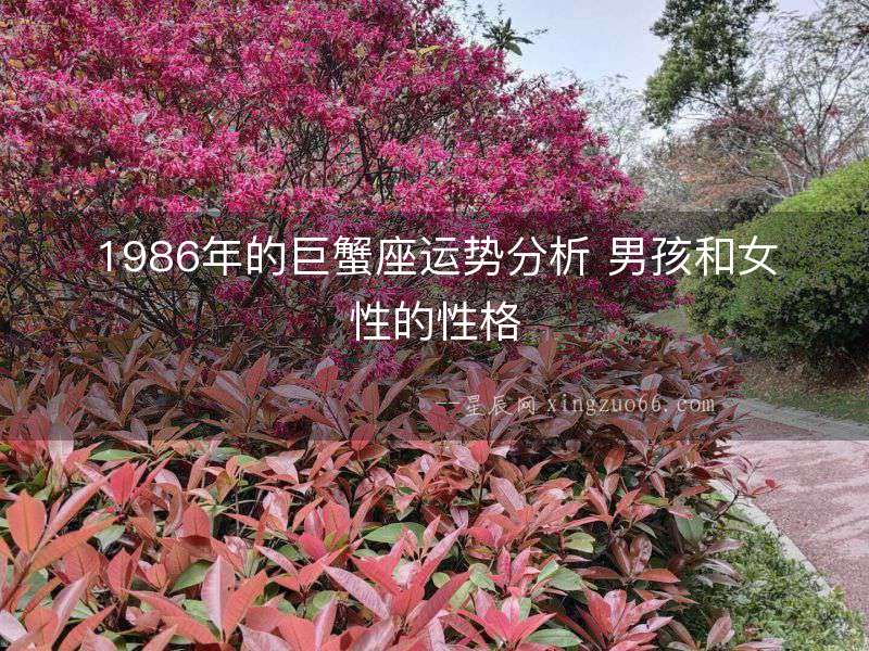 1986年的巨蟹座運勢分析 男孩和女性的性格