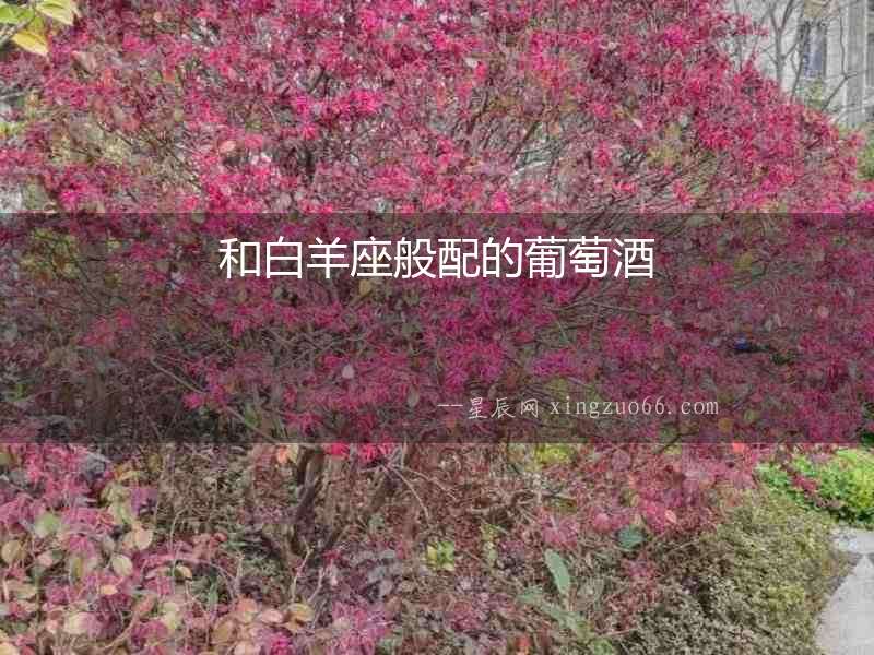 和白羊座般配的葡萄酒